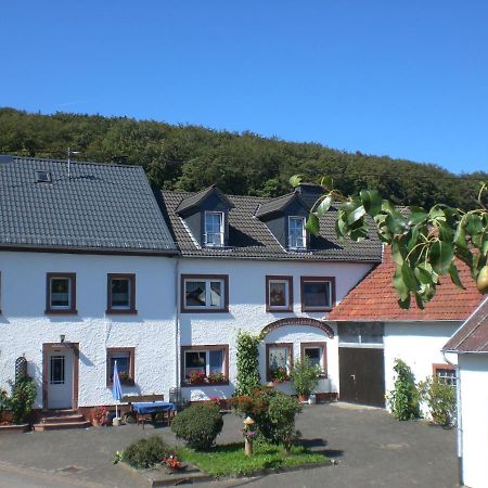 Ferienhof An Der Lay Kerpen  Esterno foto