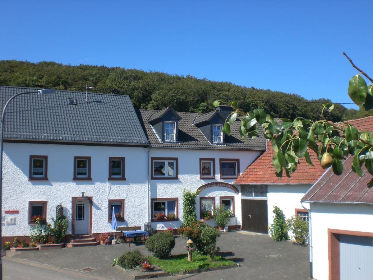 Ferienhof An Der Lay Kerpen  Esterno foto