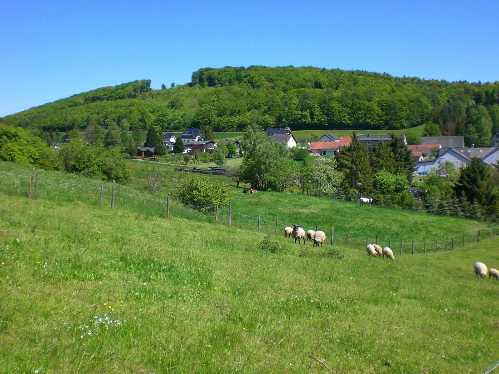 Ferienhof An Der Lay Kerpen  Esterno foto