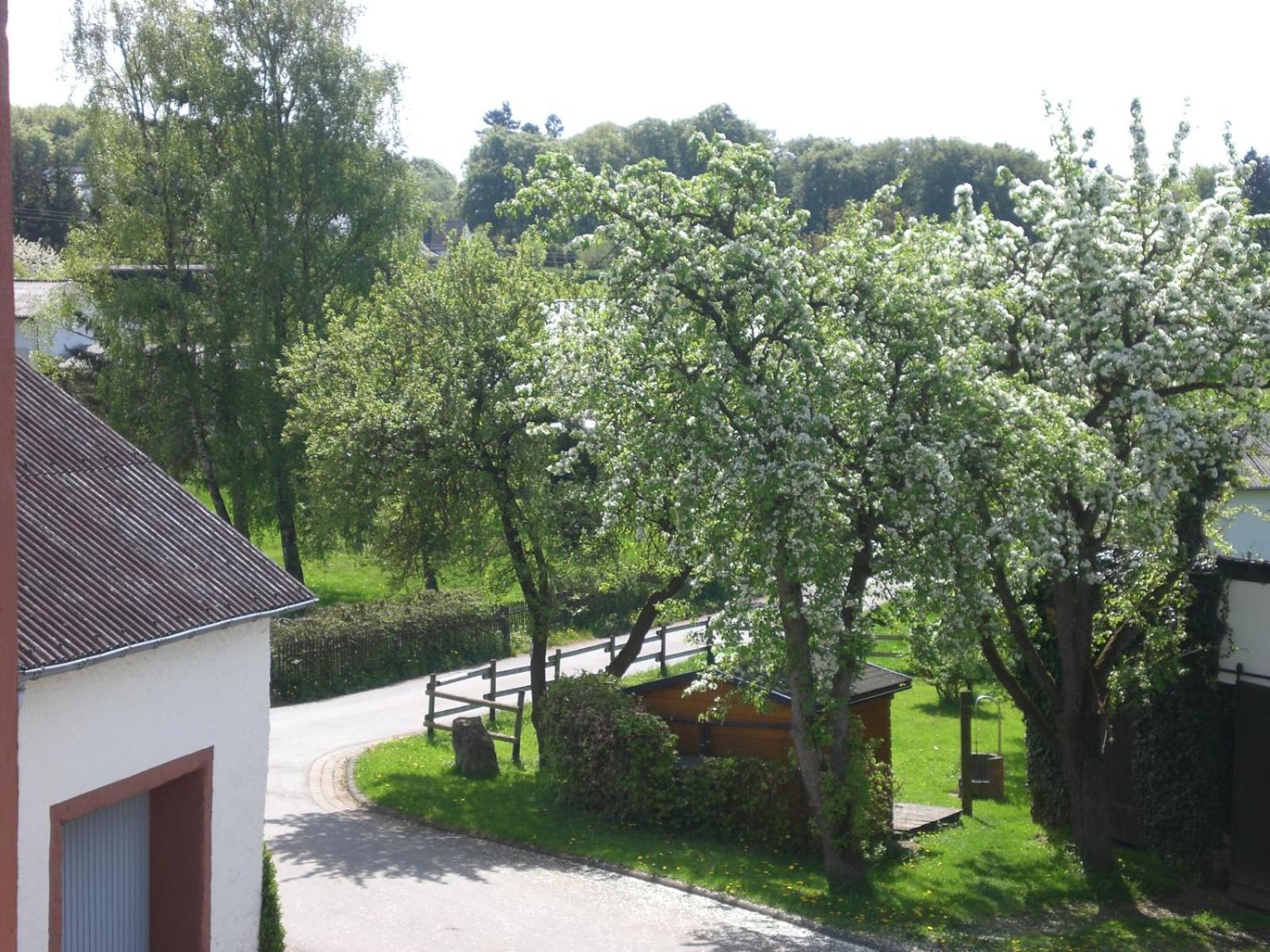 Ferienhof An Der Lay Kerpen  Esterno foto