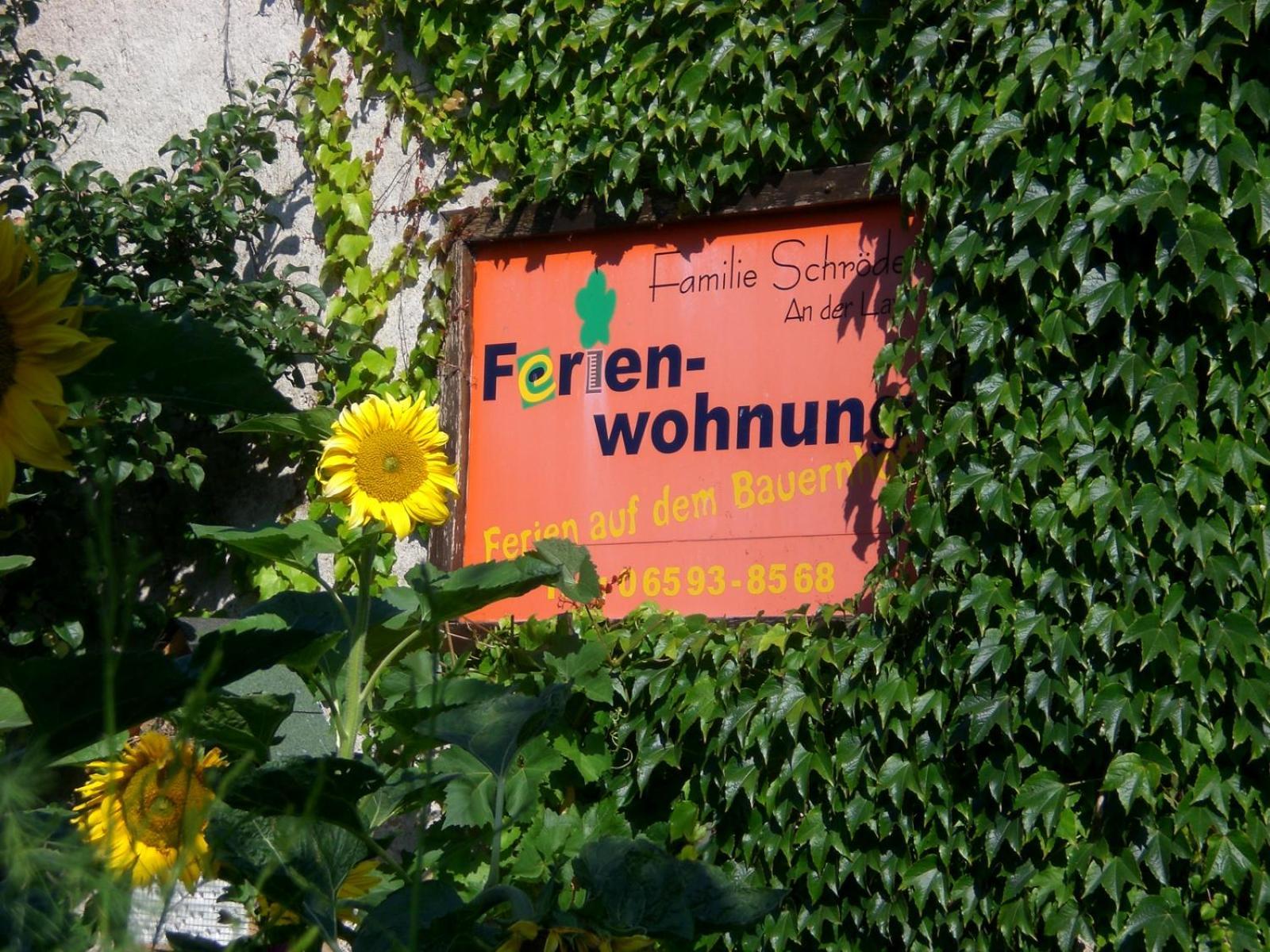 Ferienhof An Der Lay Kerpen  Esterno foto