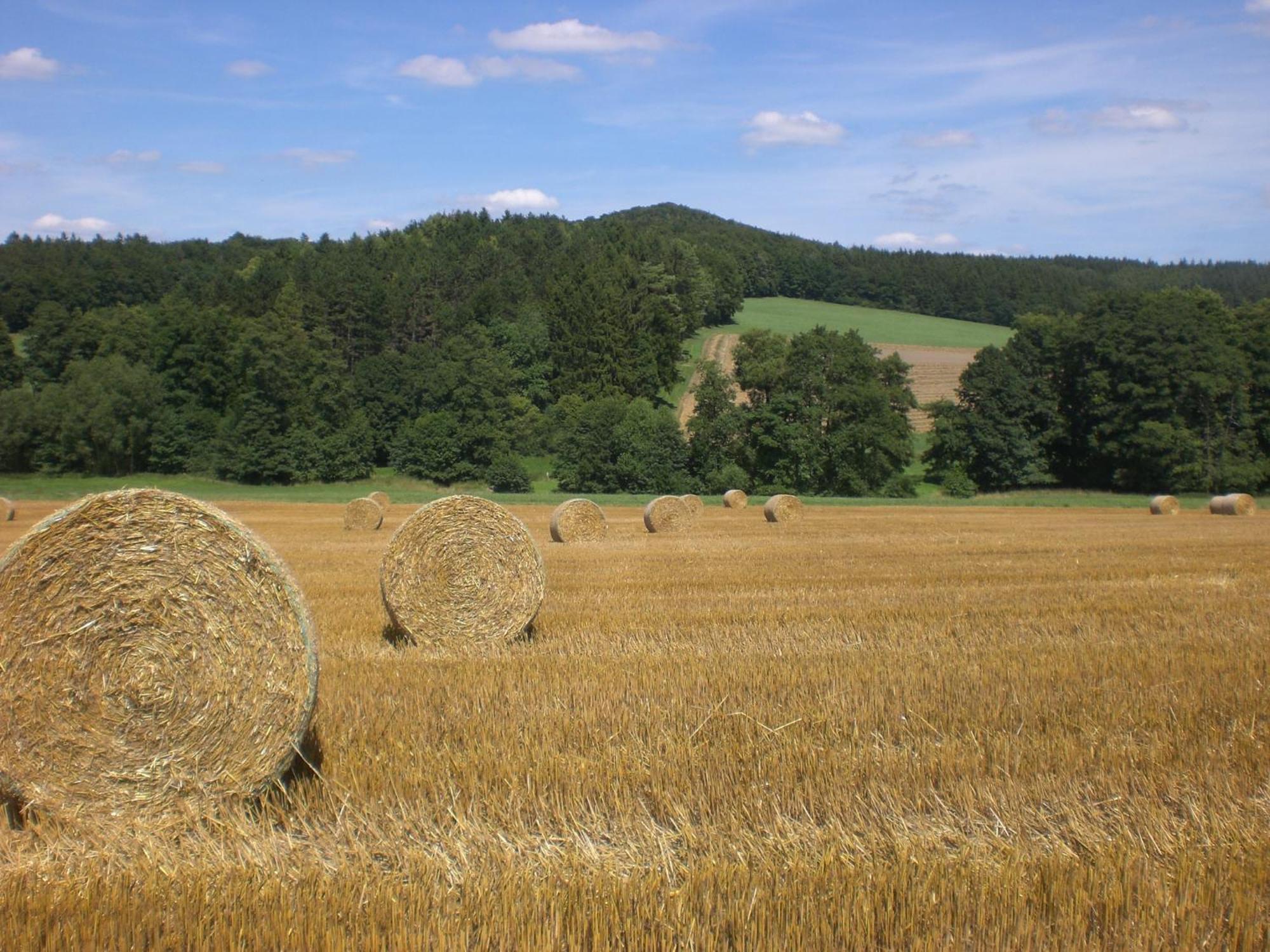 Ferienhof An Der Lay Kerpen  Esterno foto
