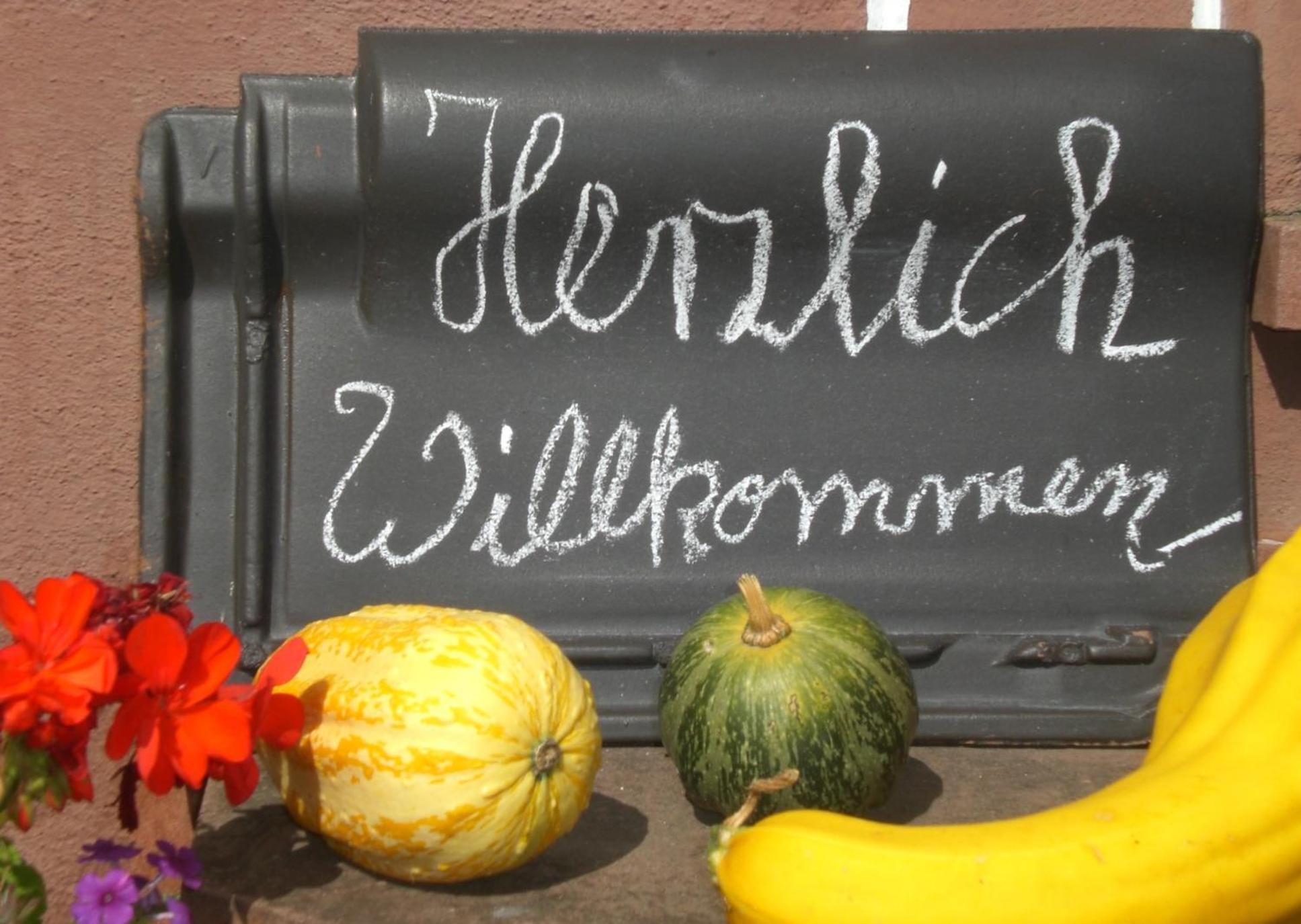 Ferienhof An Der Lay Kerpen  Esterno foto