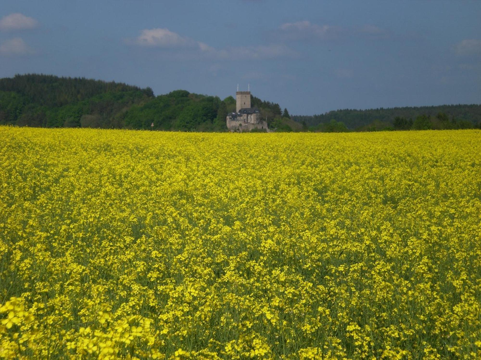 Ferienhof An Der Lay Kerpen  Esterno foto