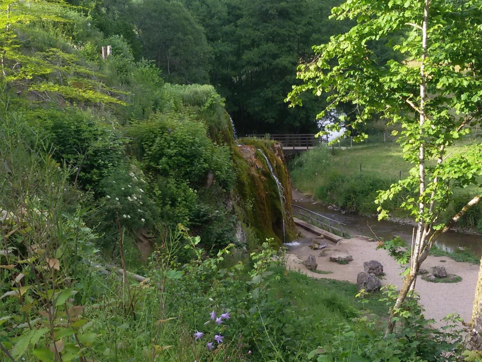 Ferienhof An Der Lay Kerpen  Esterno foto