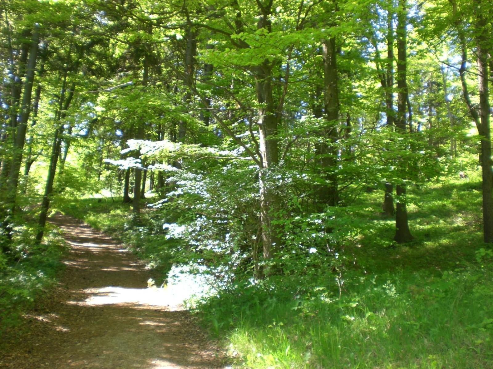 Ferienhof An Der Lay Kerpen  Esterno foto