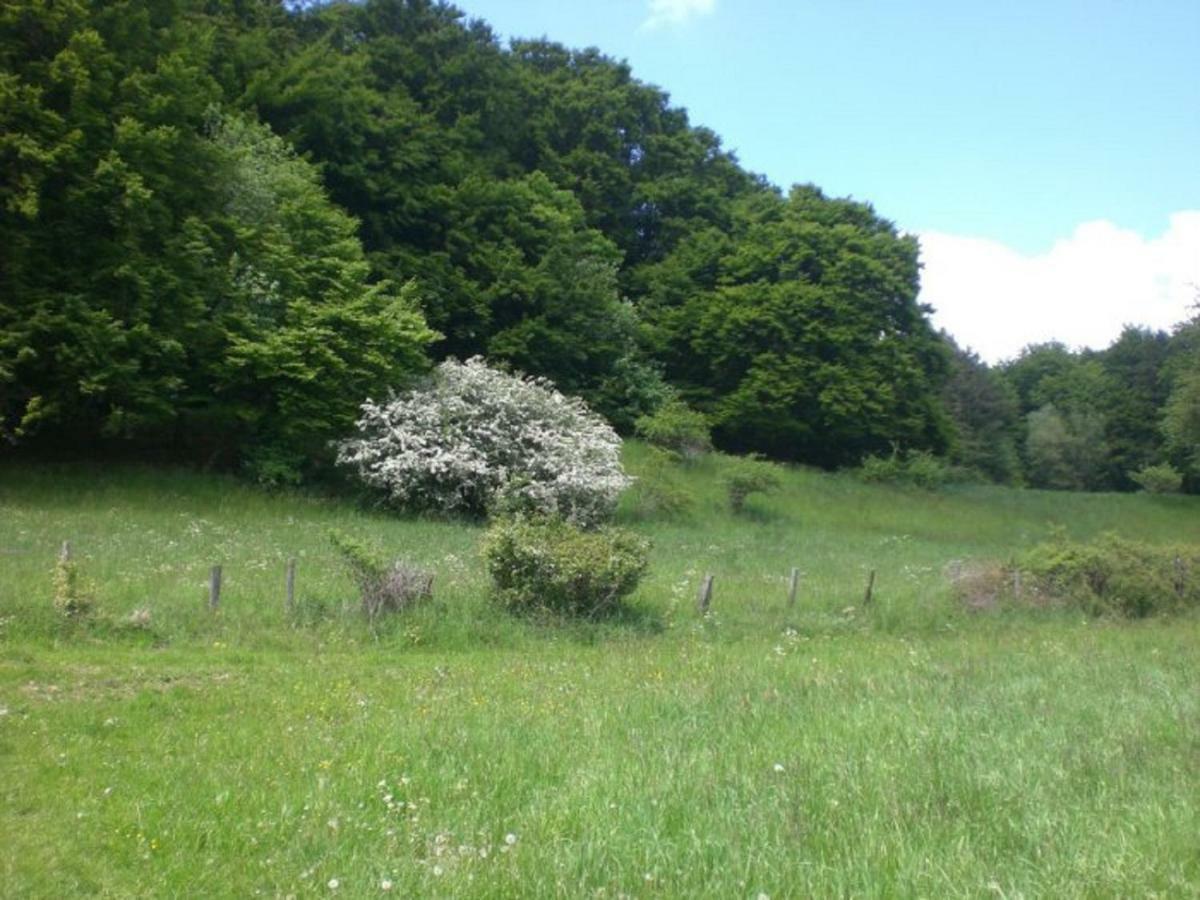 Ferienhof An Der Lay Kerpen  Esterno foto