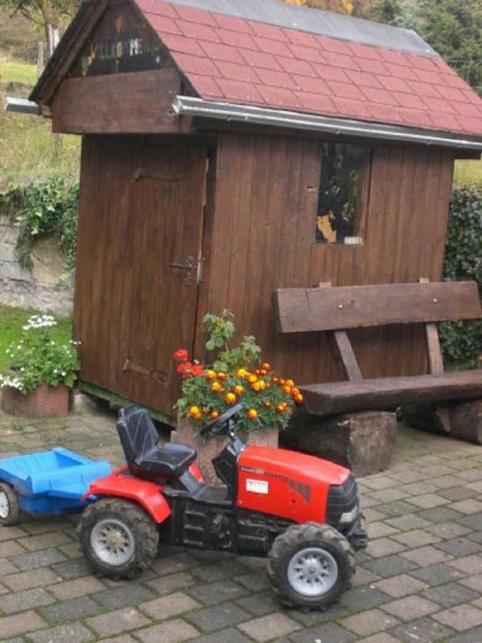 Ferienhof An Der Lay Kerpen  Esterno foto